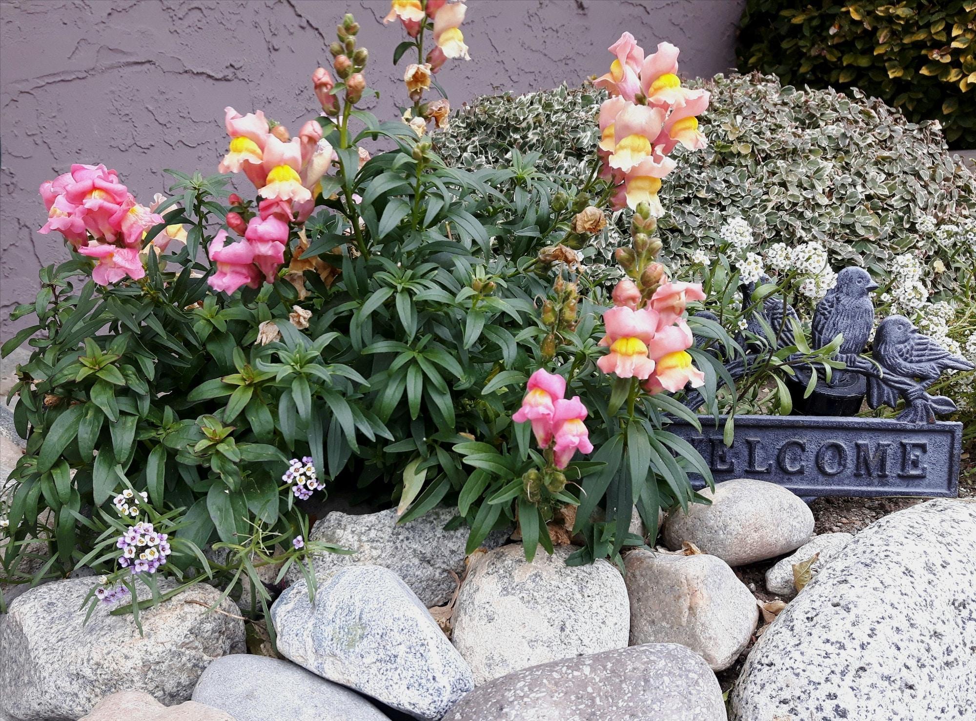 Vista Lobby A View to Remember Bed & Breakfast