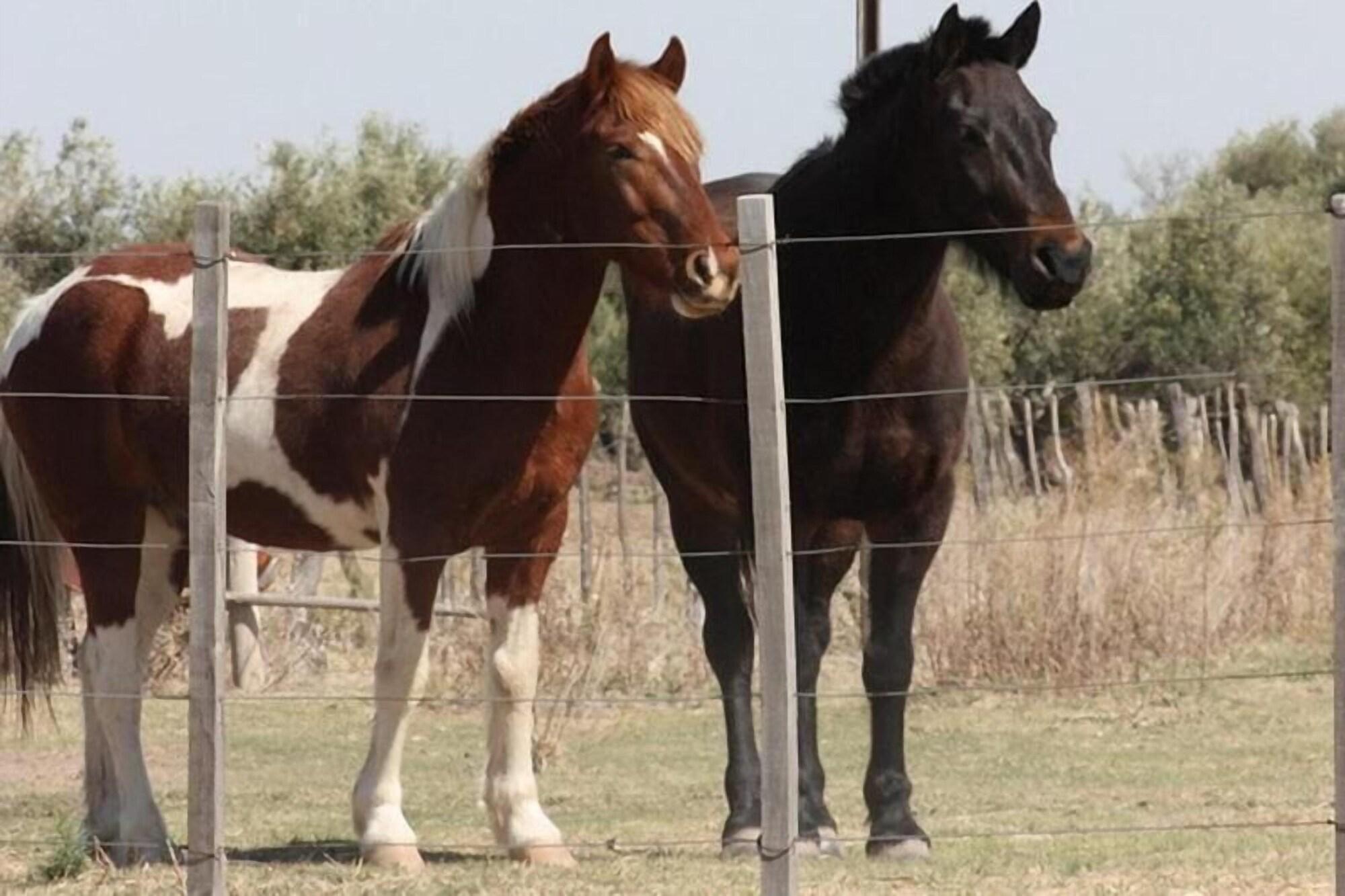 Gimnasio Finca La Carmelita
