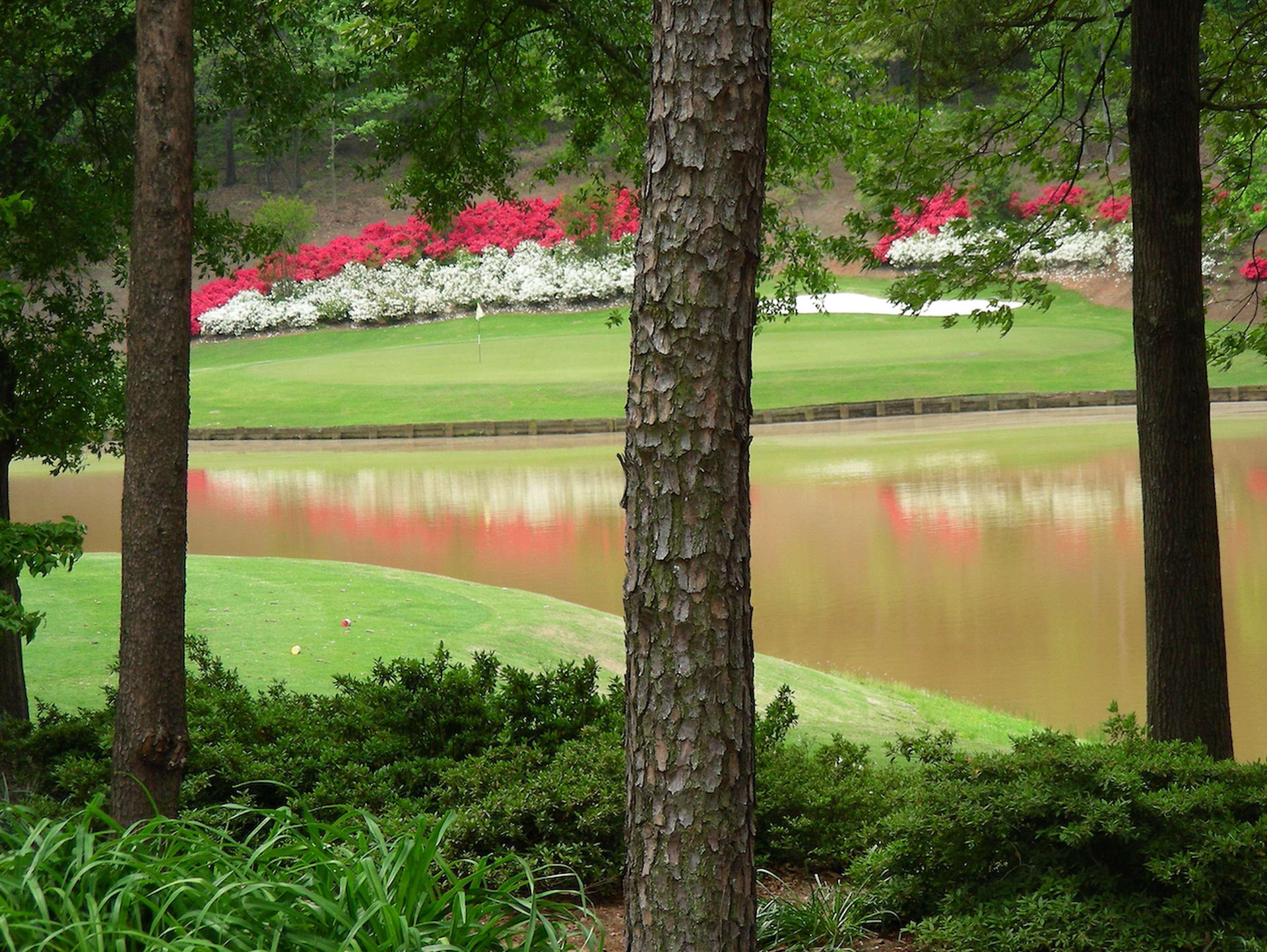 Vista Exterior Embassy Suites Greenville Golf Resort & Conference Center