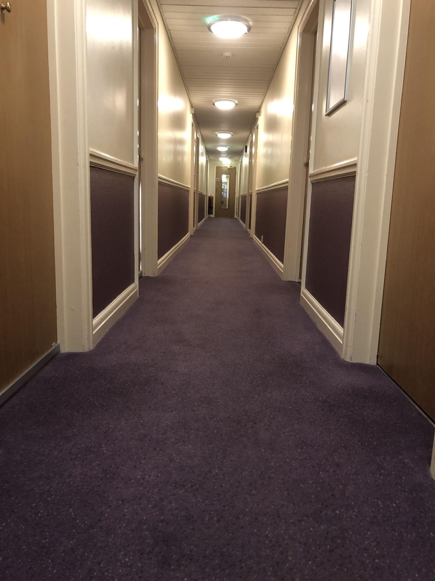 Varios Purple Roomz