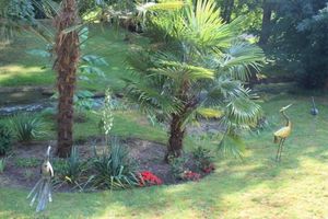 Alojamiento - Chambres D'hôtes & Gites Pouget