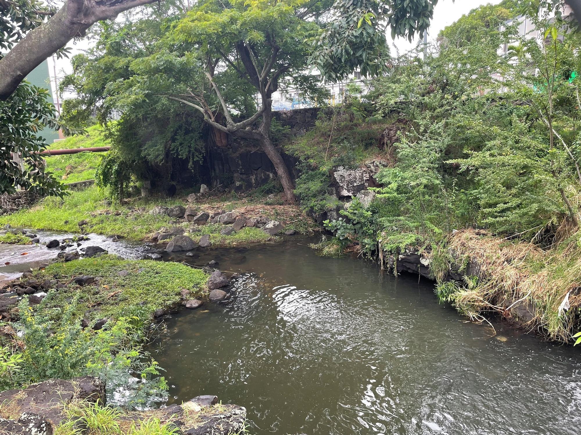 Varios Urban oasis in heart of city-large yard