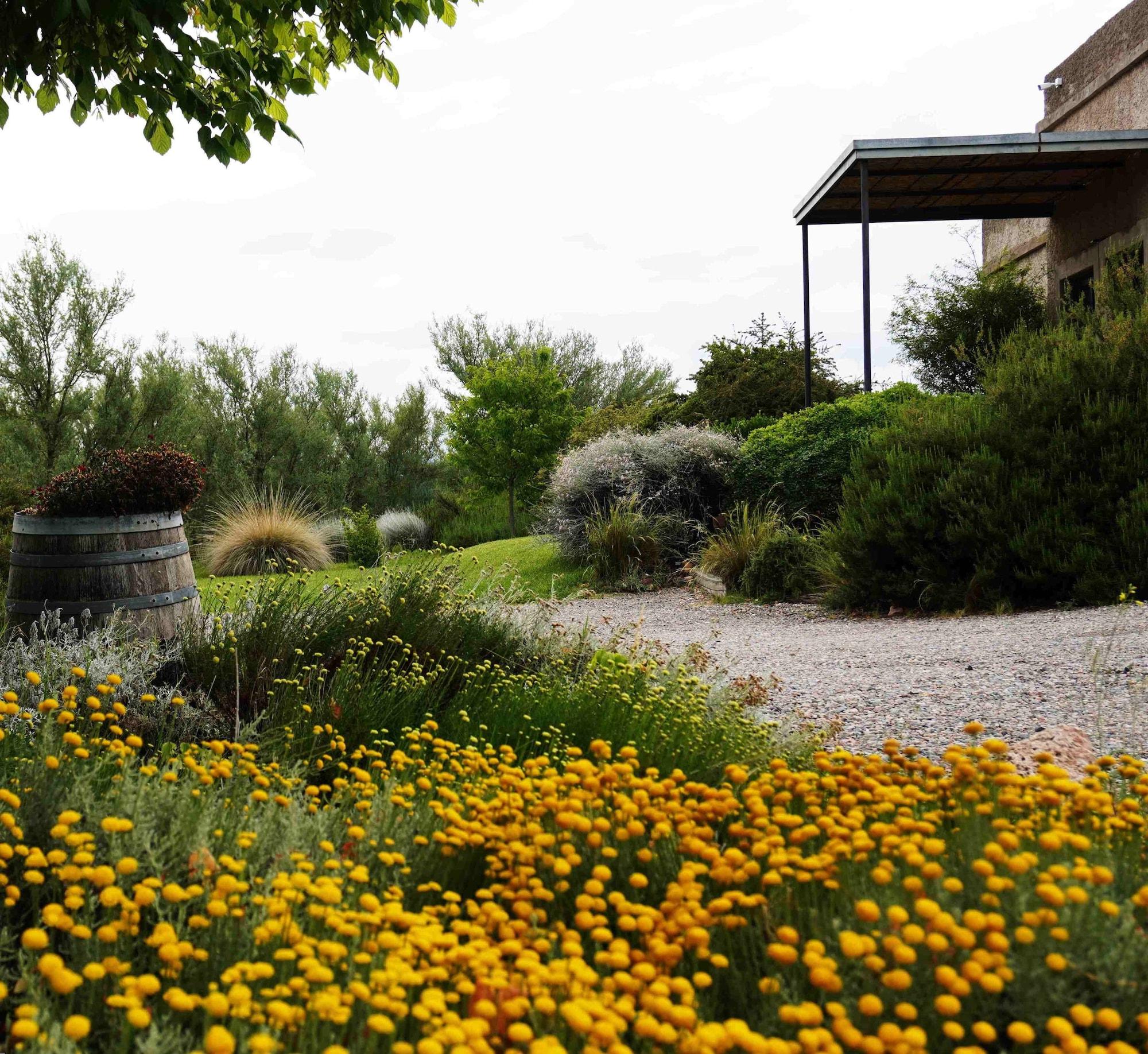 Comodidades del Alojamiento Tupungato Divino