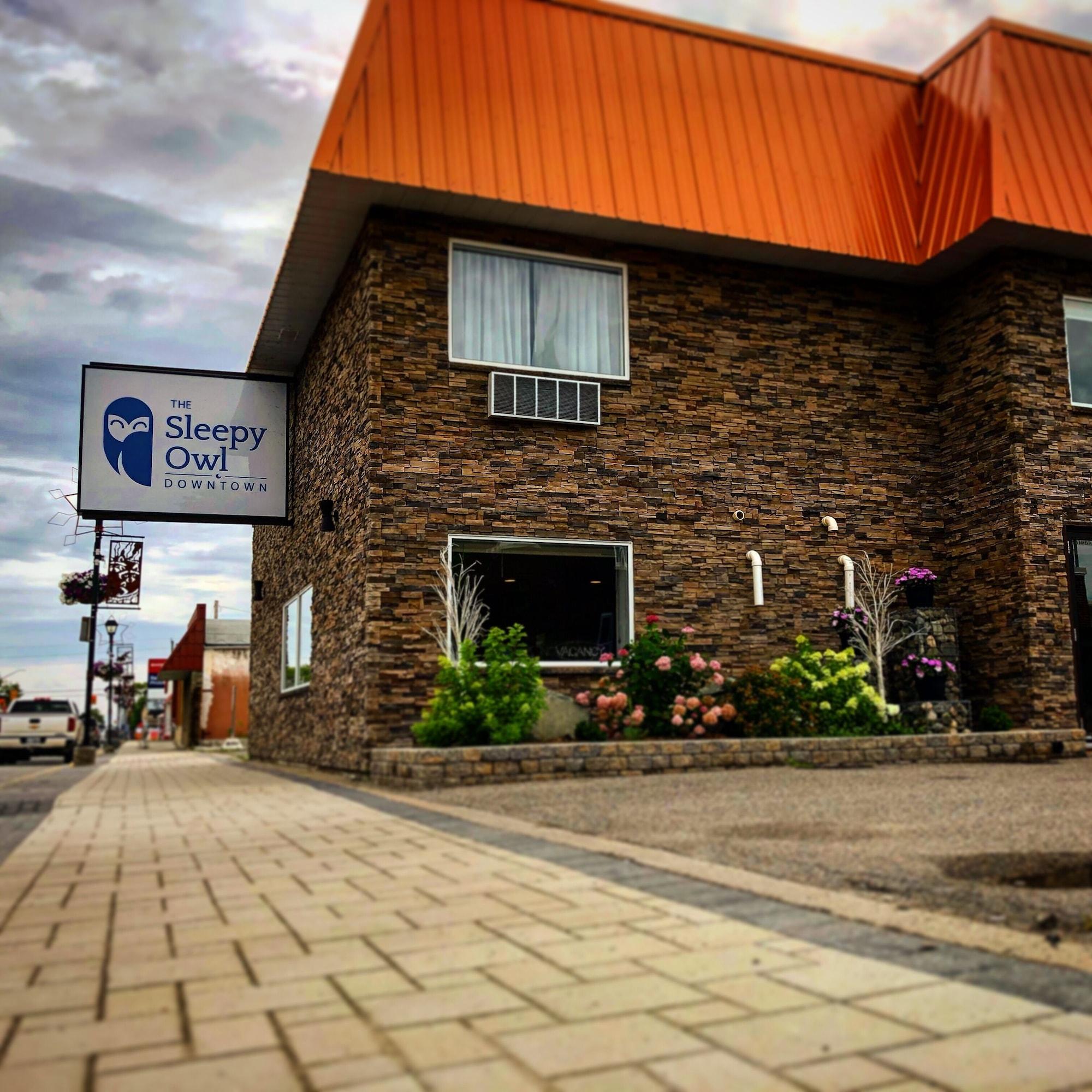 Varios The Sleepy Owl