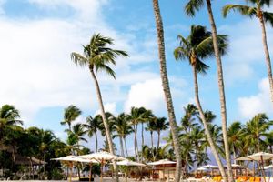 Alojamiento - Sunscape Dominicus La Romana - All Inclusive