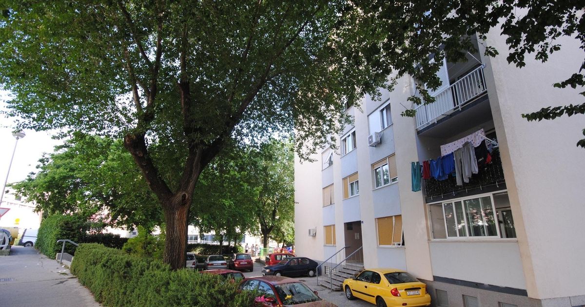 Apartment Bolt, Split Best Day