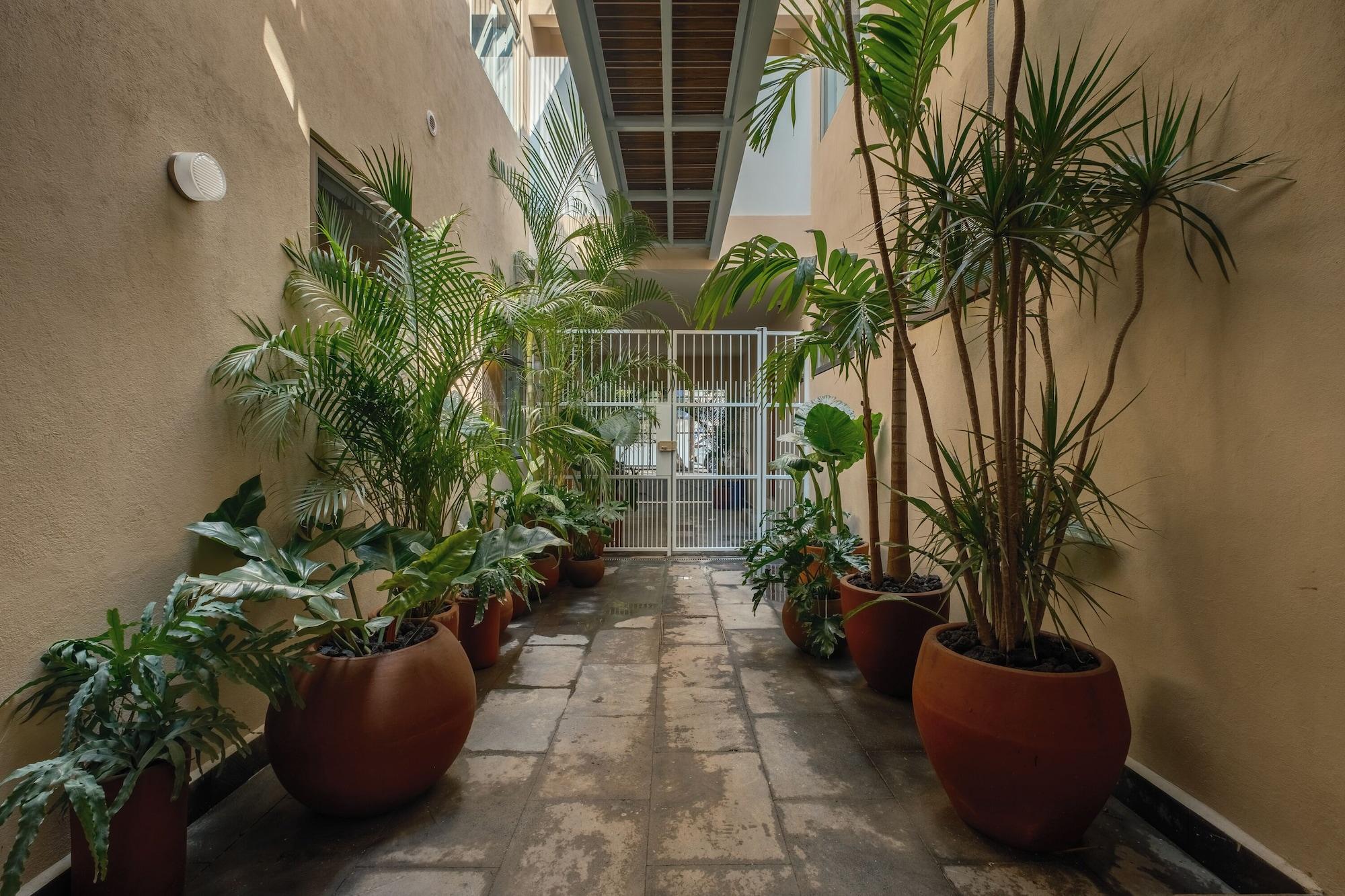 Vista Lobby Cholula Condesa Hotel by Lumina