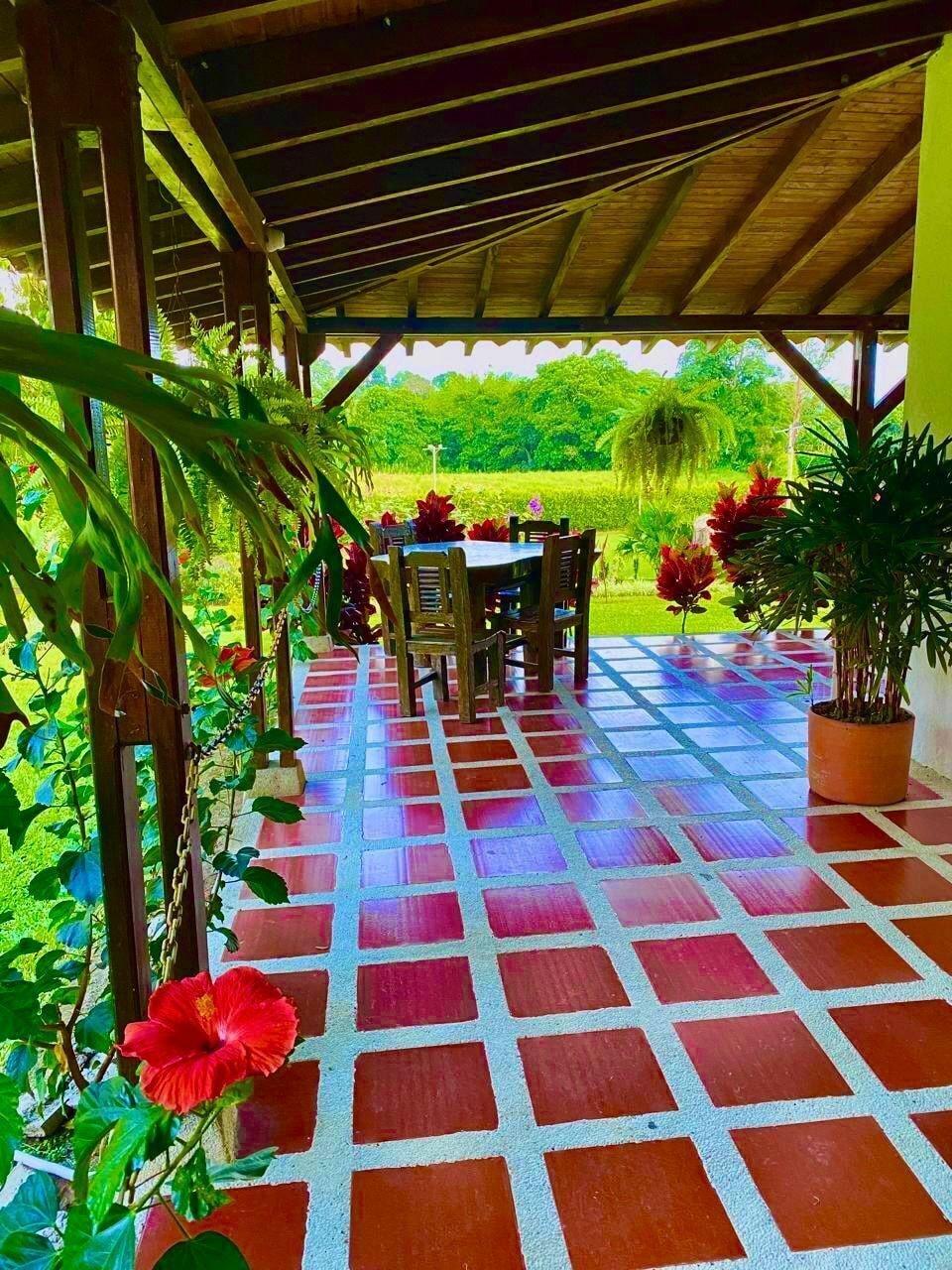 Restaurant Jardines del cafe entre nubes