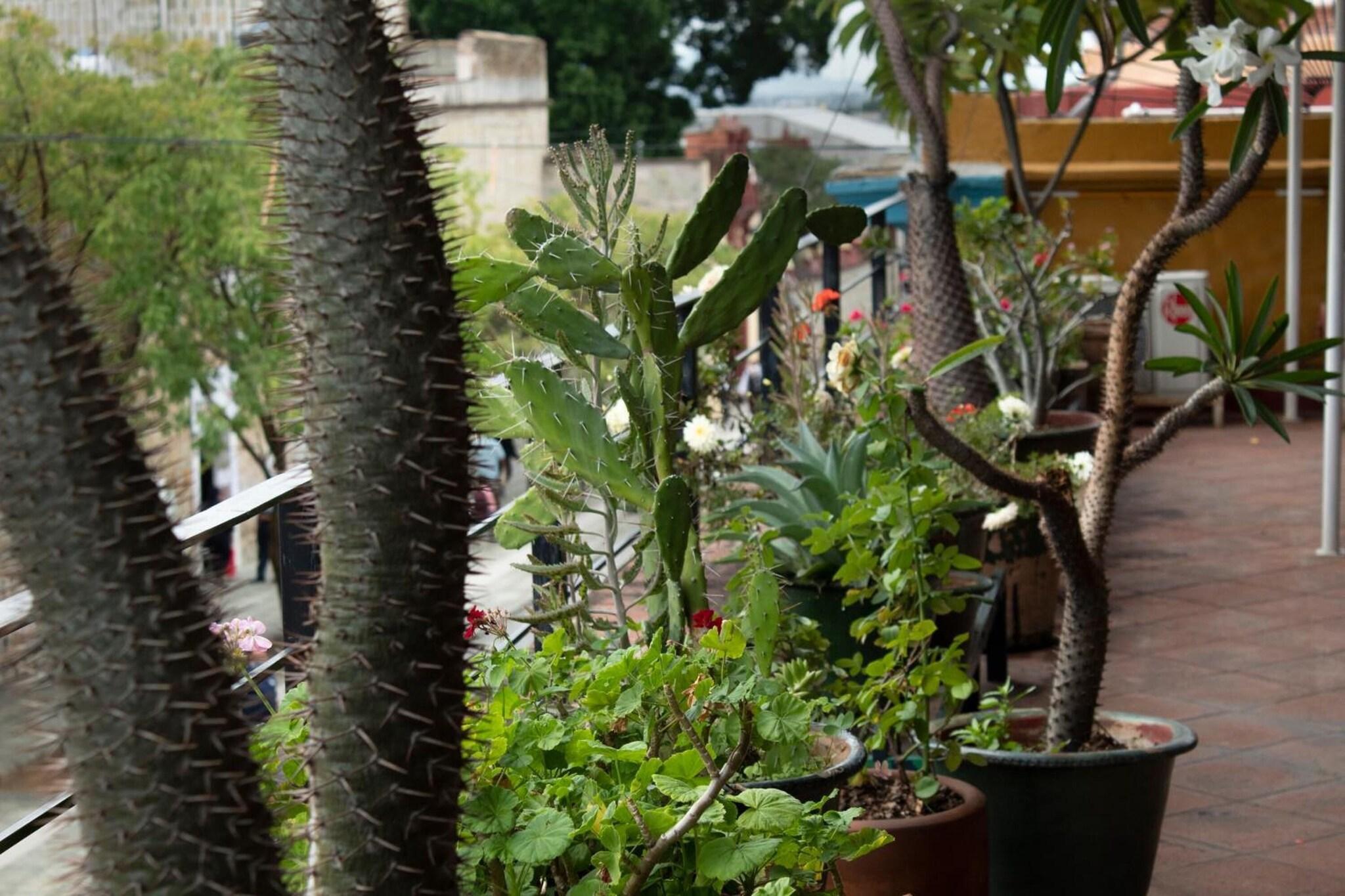 Vista Exterior Casa Catrina