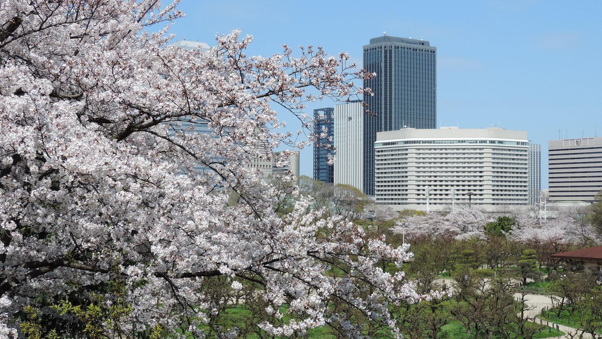Vista Exterior Hotel New Otani Osaka