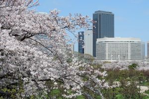 Alojamiento - Hotel New Otani Osaka