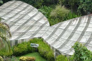 Actividad - Tour por el Jardín Botánico del Quindío
