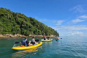 Actividad - Tour a la Isla Francesa