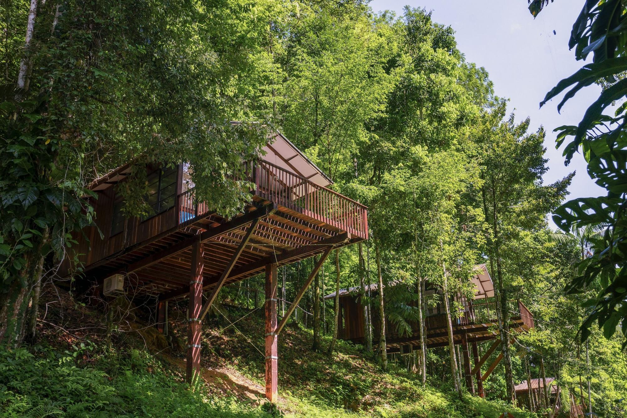 Varios Bergendal Amazonia Wellness Resort