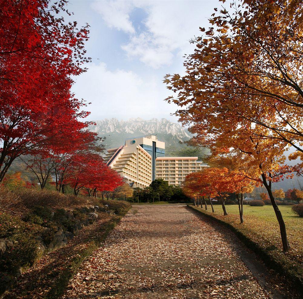 Vista Exterior Del Pino