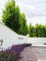 Alojamiento - Château Haut-Brisson