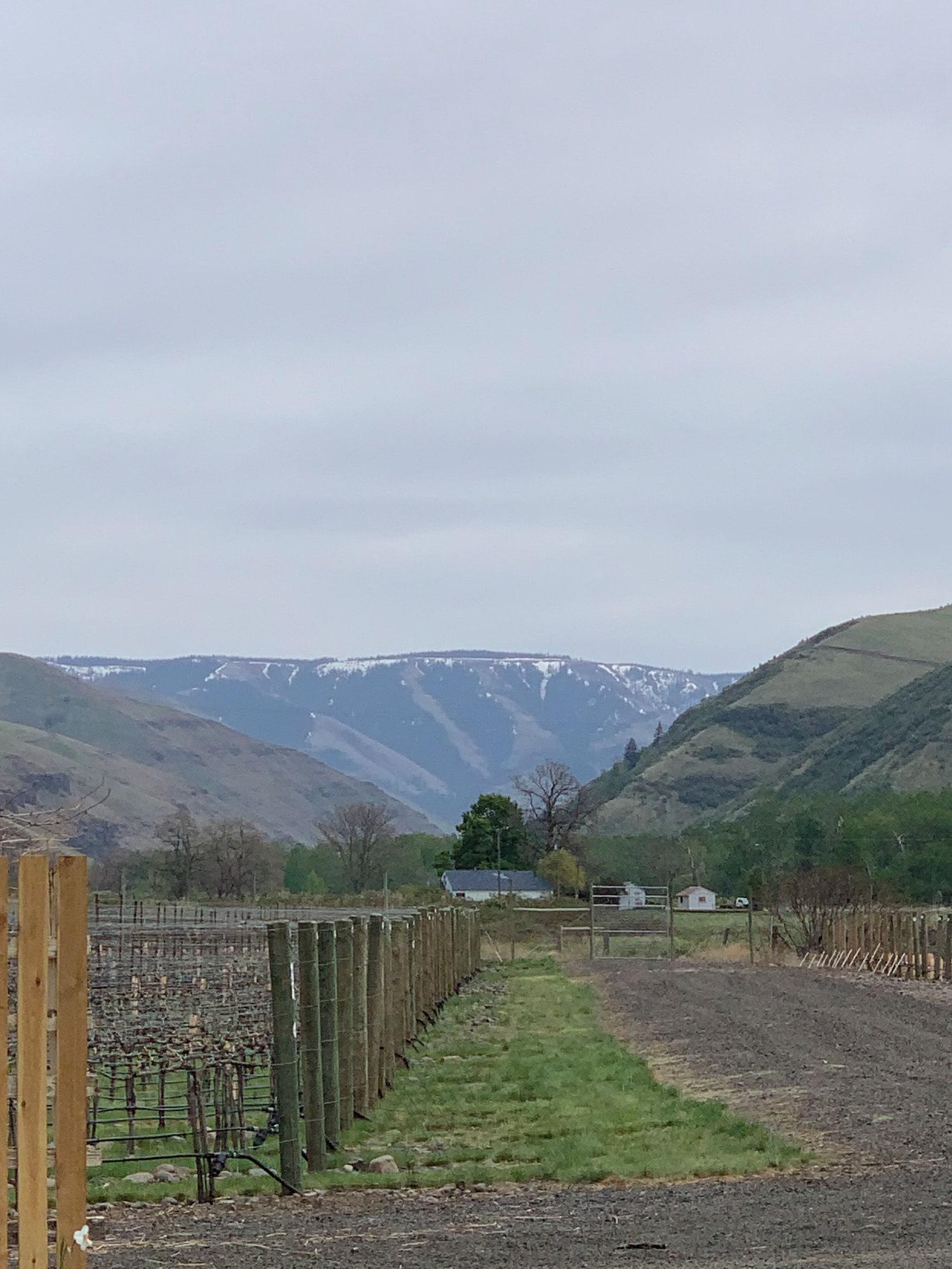 Playa Moonrise Suite in a Vineyard + Winery!