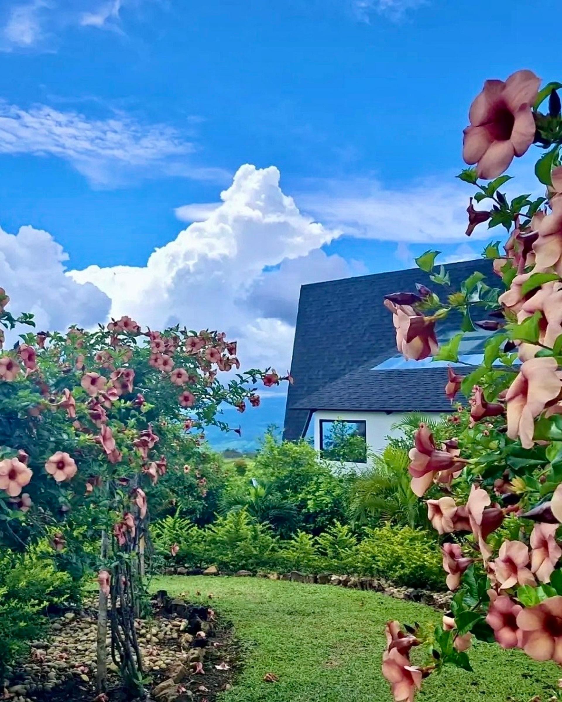 Vista Interior El Resort de Yanashpa-Tarapoto