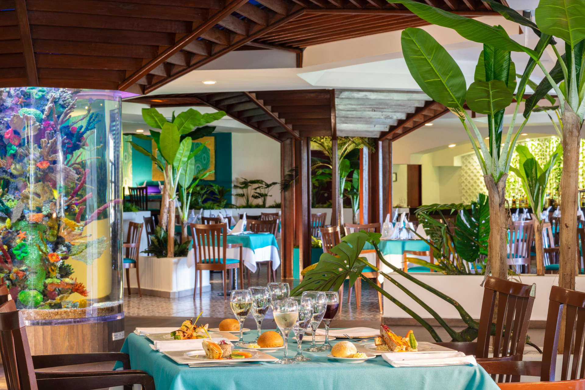 crown paradise club cancun restaurant reservations