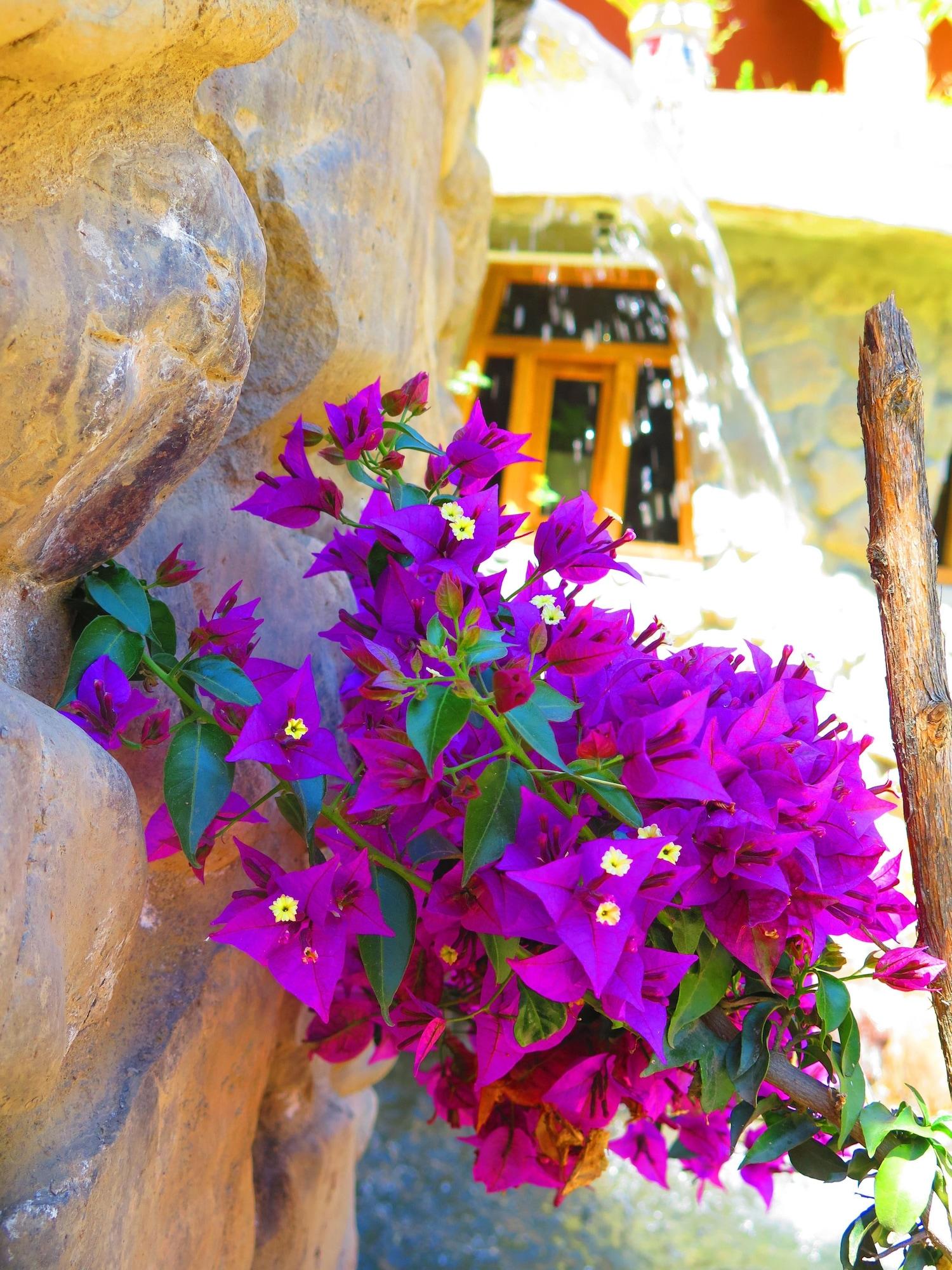 Salón de Baile Birds Hotel Molino