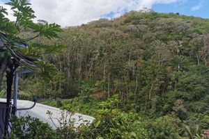 Alquiler Vacacional - Nature Calme