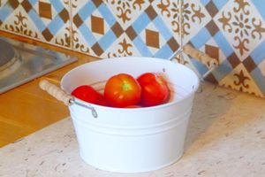 Alquiler Vacacional - Peacefull place in the countryside. Has all privacy you need on your vacation.