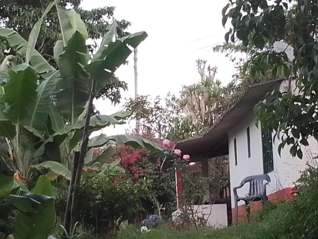 Vista Exterior Finca Umnisa  Choachi