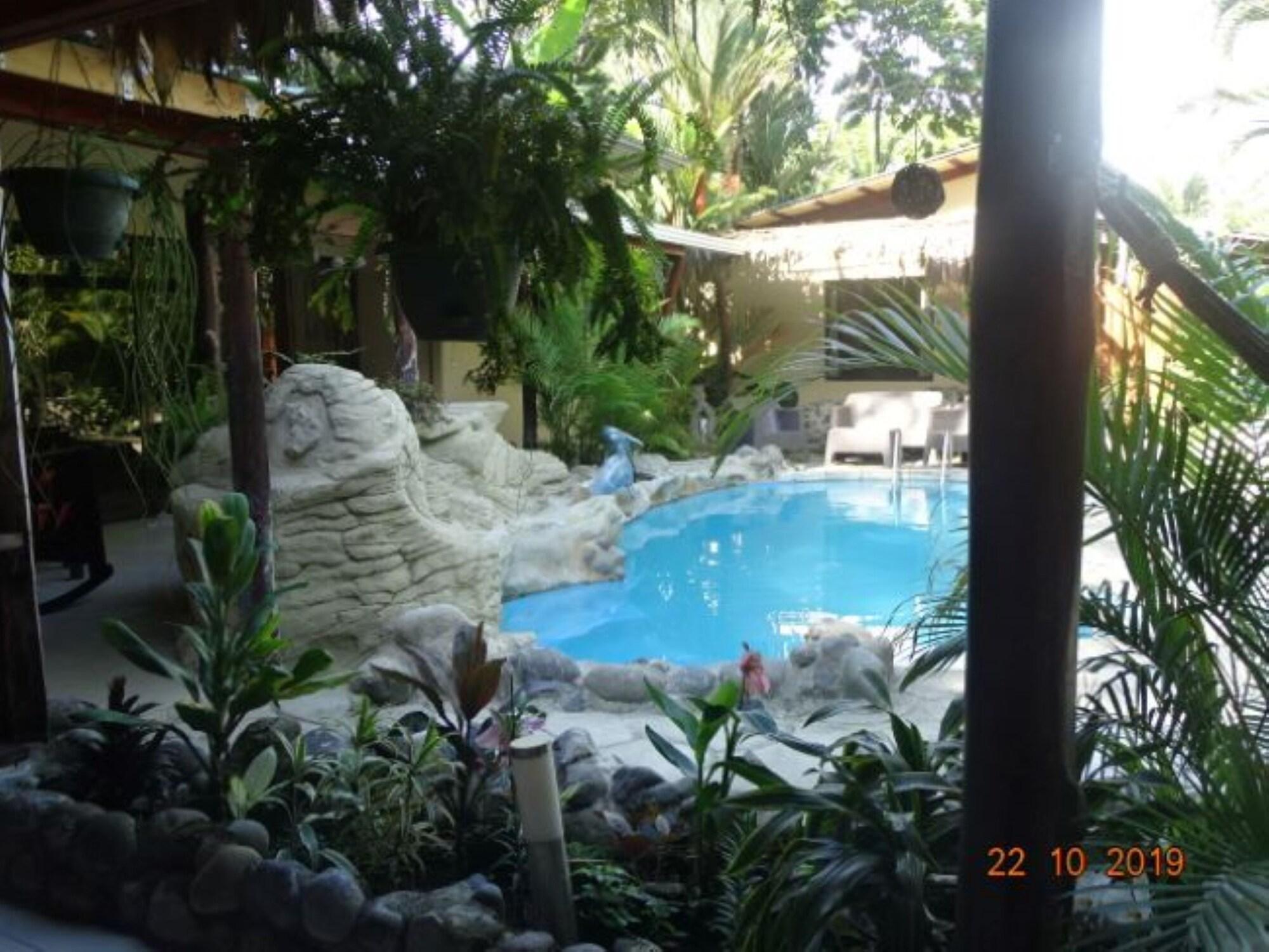 Vista Piscina Caribbean Coconut
