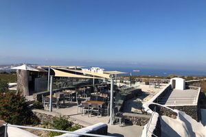 Actividad - Cata de vinos