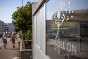 Alojamiento - Dandelion boutique hostel