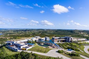 Actividad - Bodega Garzón: traslados, tour reserva y almuerzo