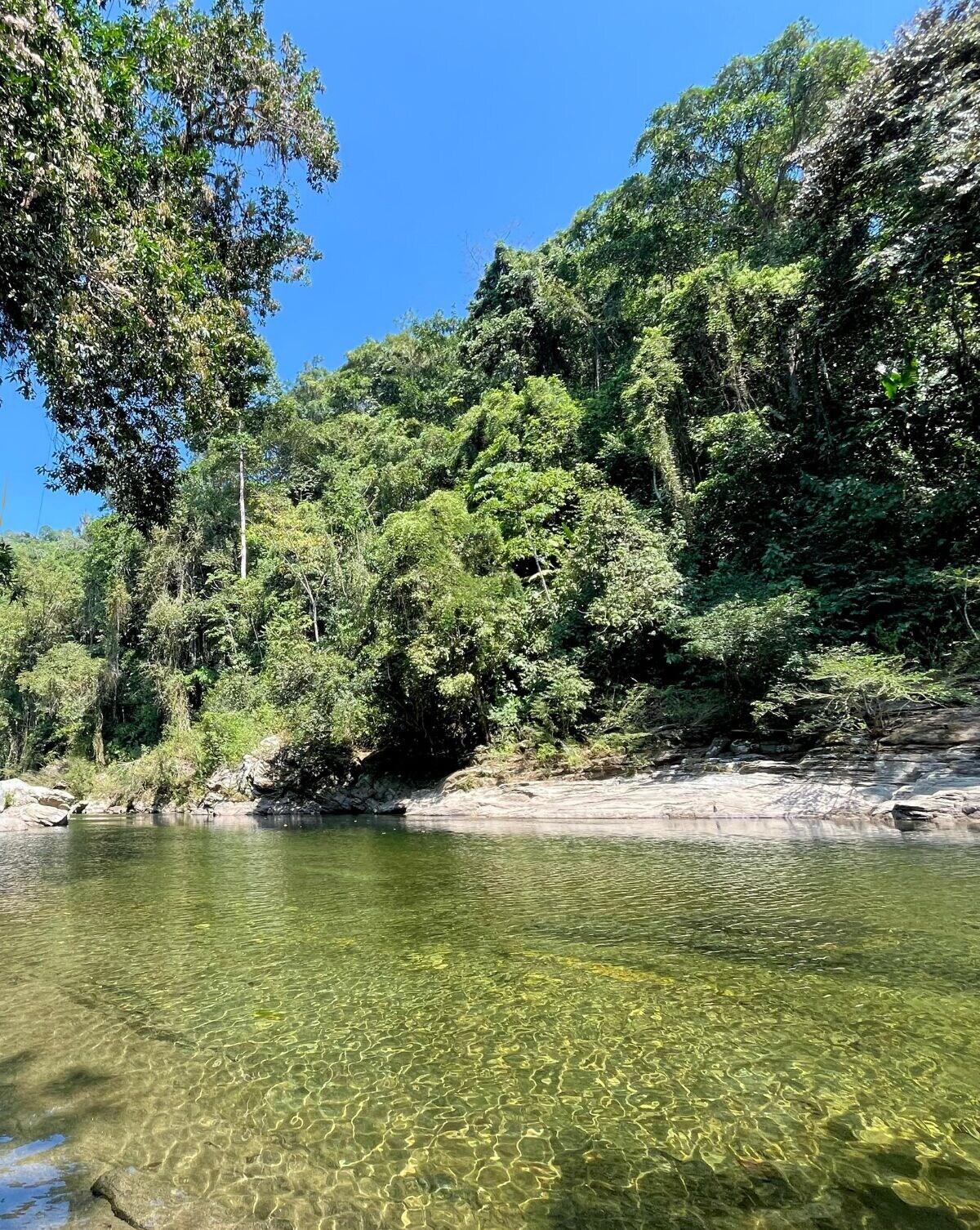 Vista Piscina Blue Dot - jungle eco hostel