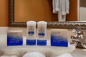 Alojamiento - Best Western Plus Madison