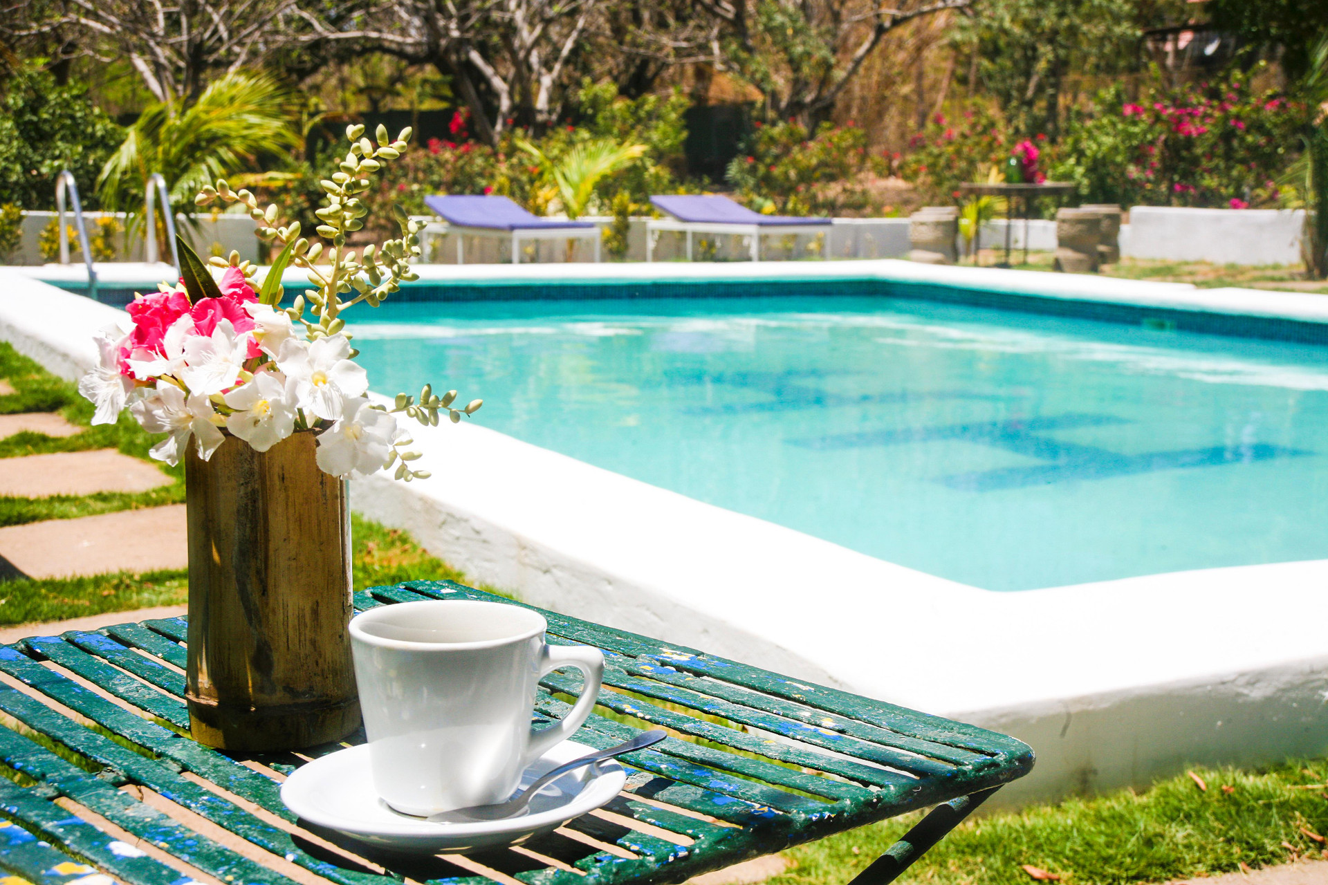 Vista Piscina Hotel Hamacas