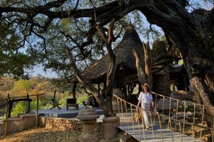 Alojamiento - Toro River by Newmark