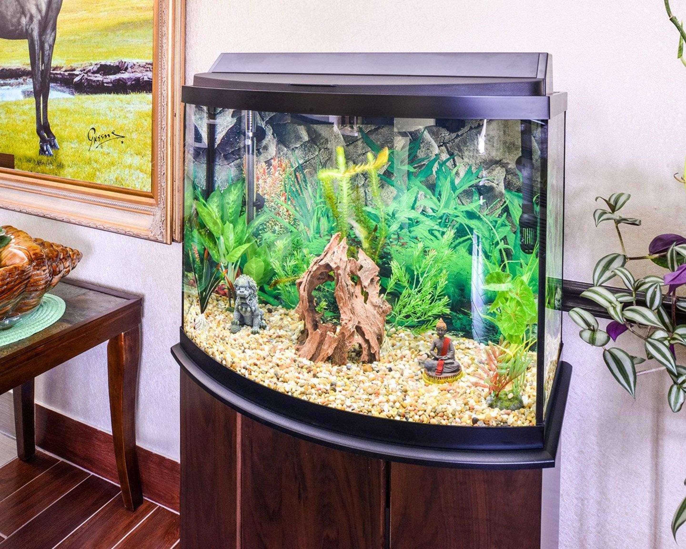 Vista Exterior Econo Lodge Inn & Suites Shelbyville