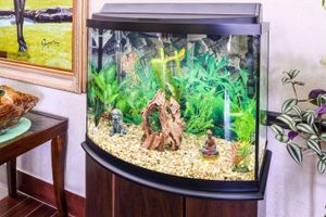 Alojamiento - Econo Lodge Inn & Suites Shelbyville