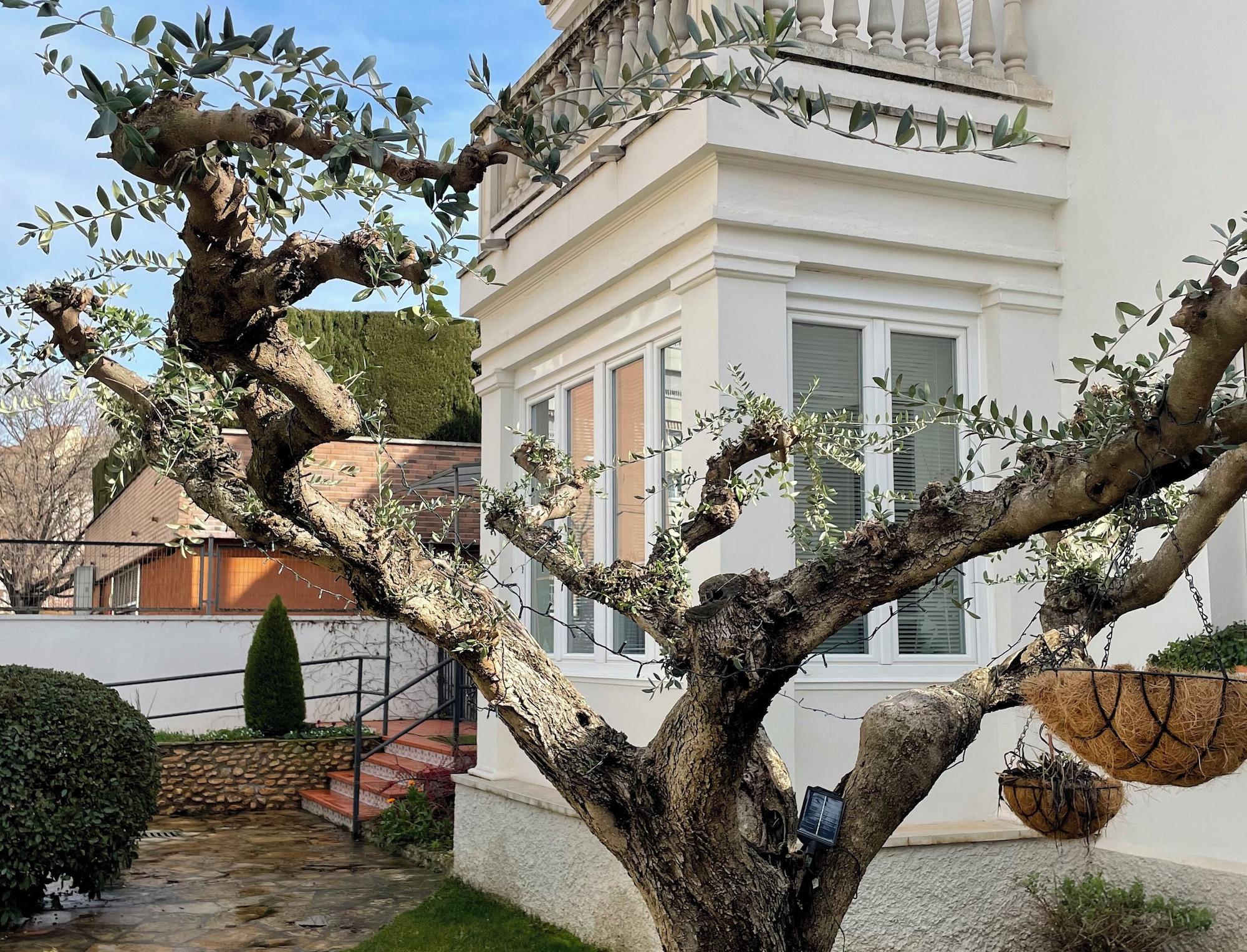 Vista Exterior El jardí de l'avet