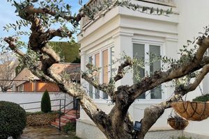 Alojamiento - El jardí de l'avet