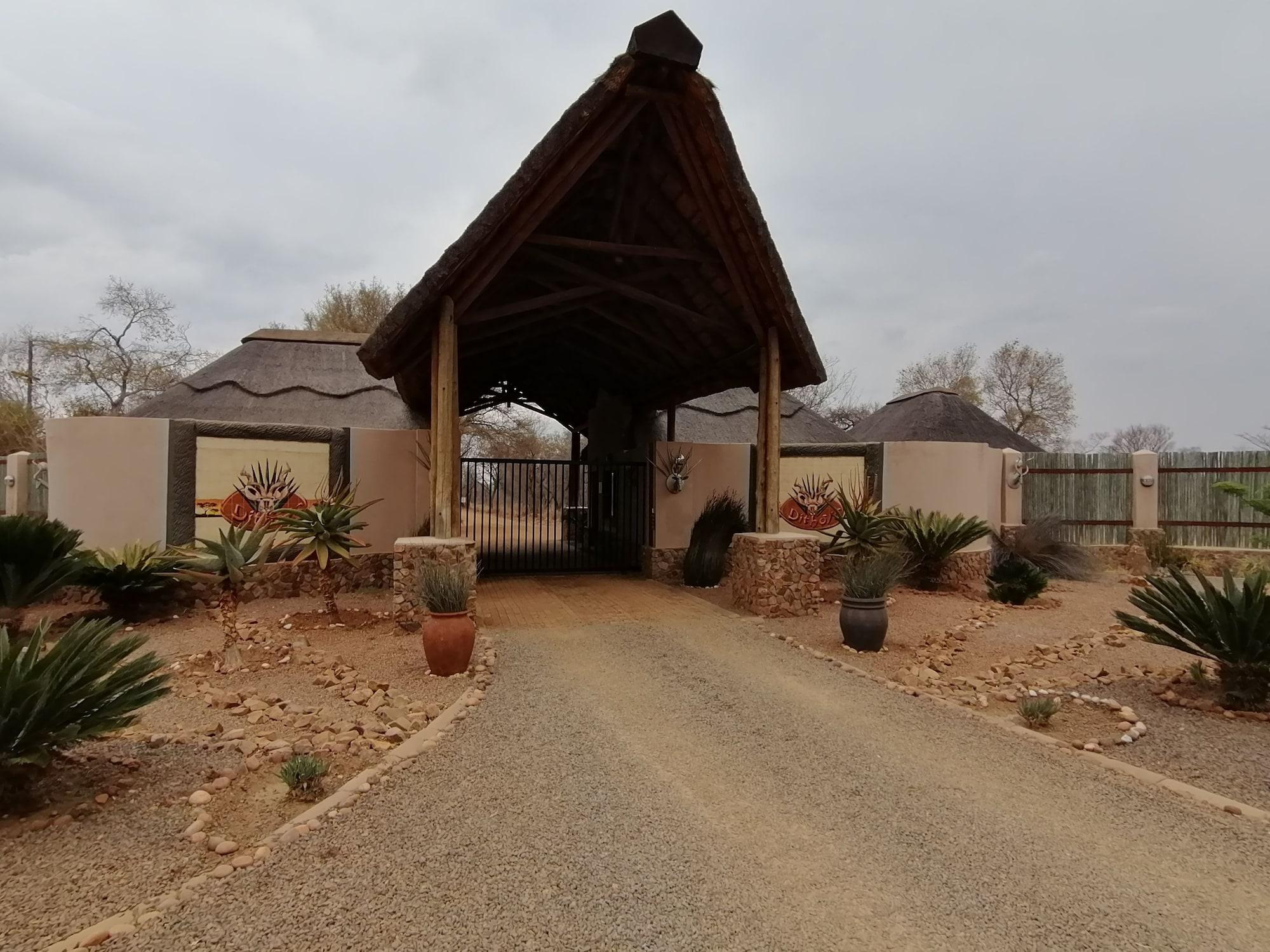 Vista Exterior Ditholo Game Lodge