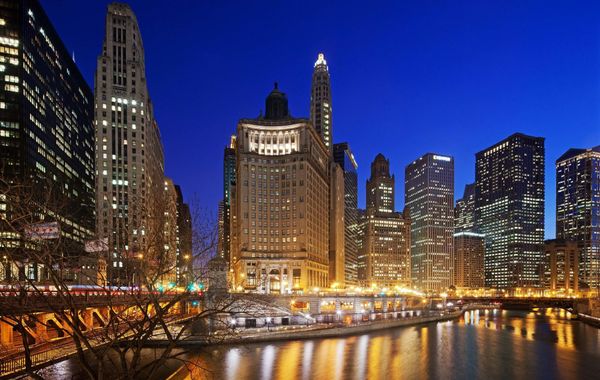 LondonHouse Chicago, Curio Collection by Hilton