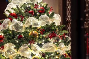 Alojamiento - Regent Chongqing