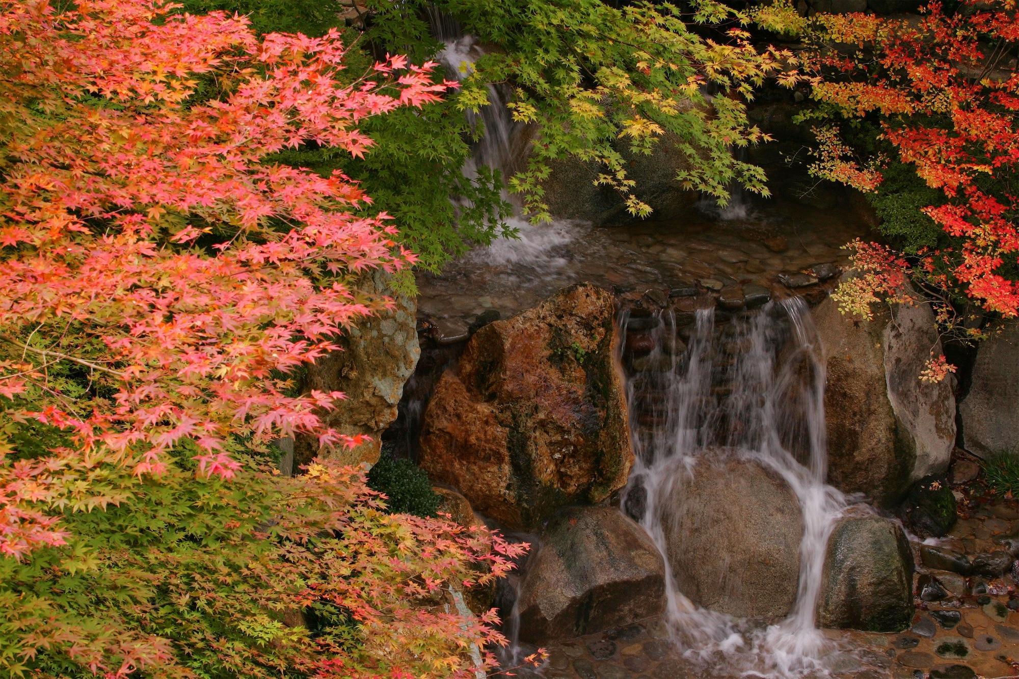 Vista Exterior 1000 Years of Tradition - Akiu Onsen Sakan