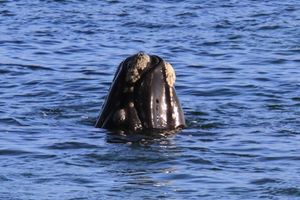 Alojamiento - 65onCliff - Langbaai