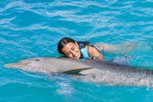 Actividad - Isla Mujeres: Dolphin Encounter