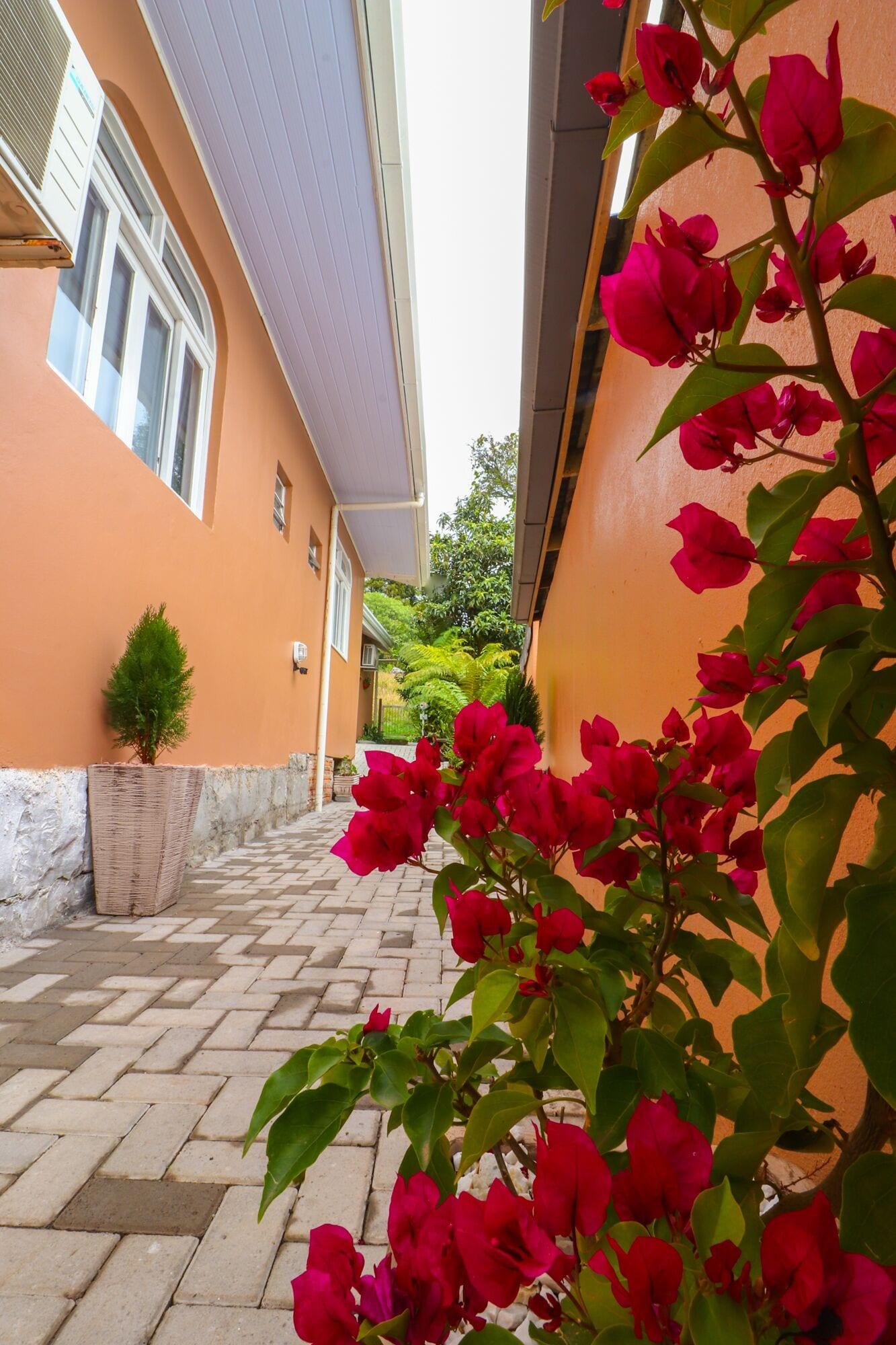 Equipamiento de Habitación Pousada Tia Eni