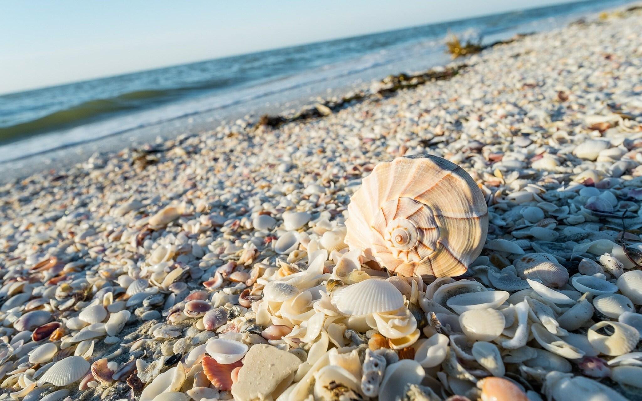 Playa Sanibel Island Beach Resort