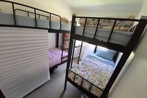 Alojamiento - Bluetongue Hideout