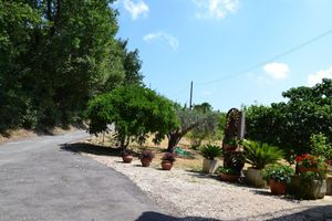 Alojamiento - Cherry Season