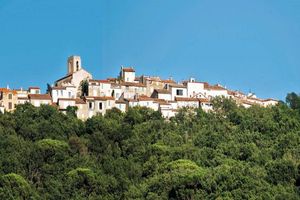 Actividad - Excursión privada a Saint Tropez desde Cannes